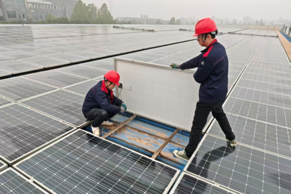 1772522950249478OEfe.png 圖片 3.png